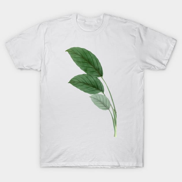 Nature Leaf T-Shirt by Hastag Pos